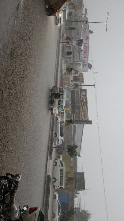 مشاركاتي في أنت الراصد