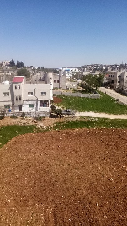 مشاركاتي في أنت الراصد