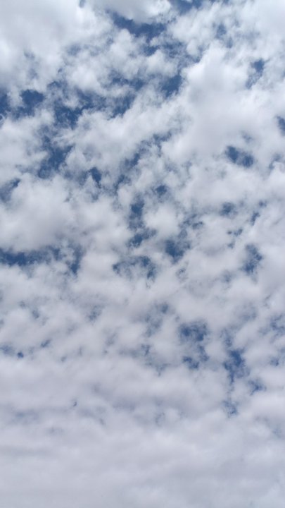 مشاركاتي في أنت الراصد