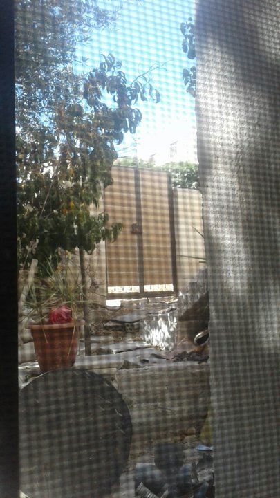 My Crowdsourcing Posts