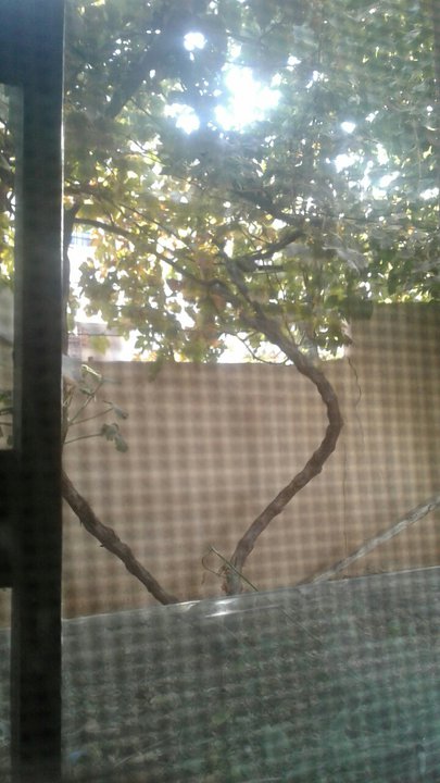 My Crowdsourcing Posts