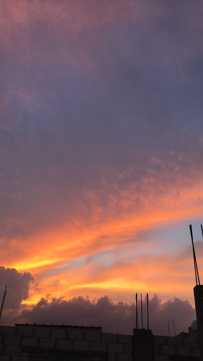 مشاركاتي في أنت الراصد