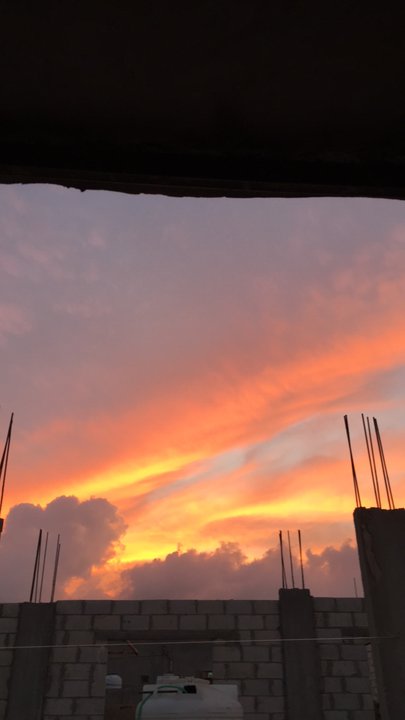 مشاركاتي في أنت الراصد