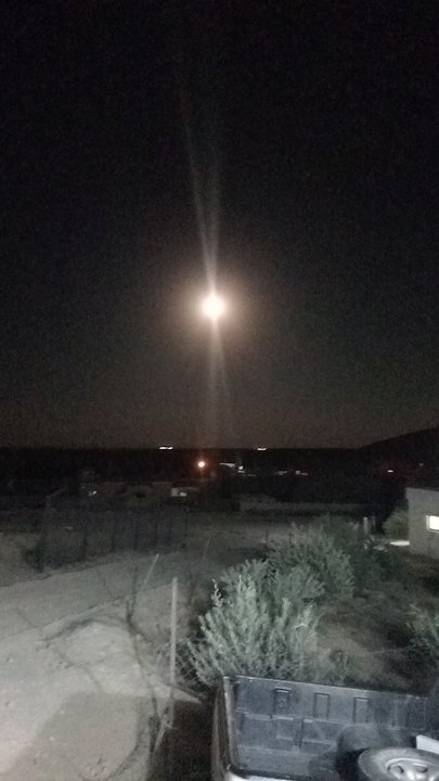 مشاركاتي في أنت الراصد