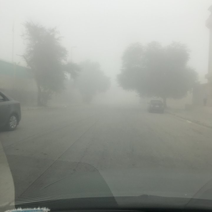 مشاركاتي في أنت الراصد