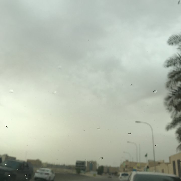 مشاركاتي في أنت الراصد