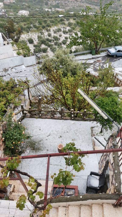 مشاركاتي في أنت الراصد