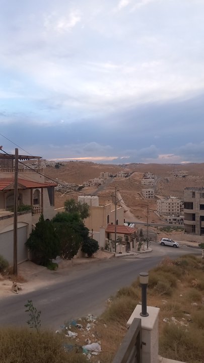 مشاركاتي في أنت الراصد