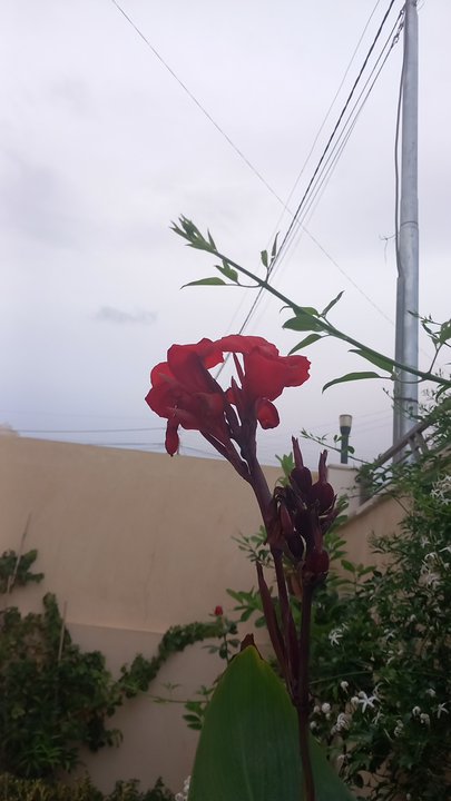 My Crowdsourcing Posts