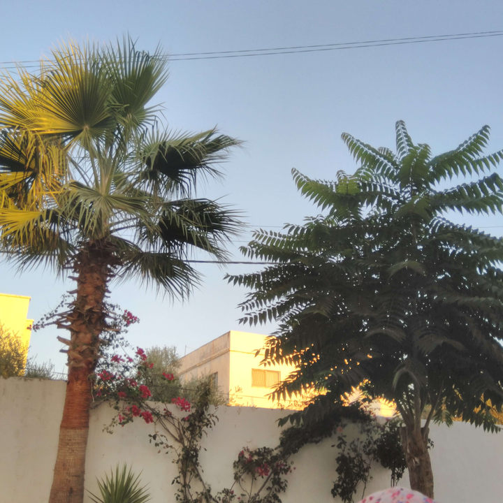 My Crowdsourcing Posts