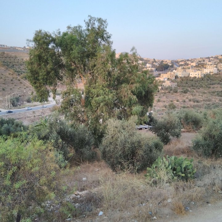 My Crowdsourcing Posts