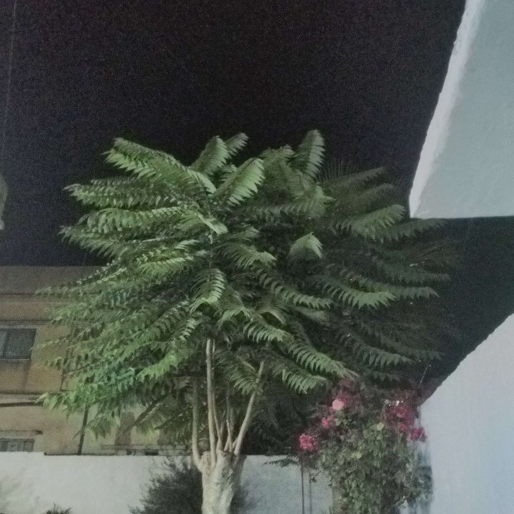 My Crowdsourcing Posts