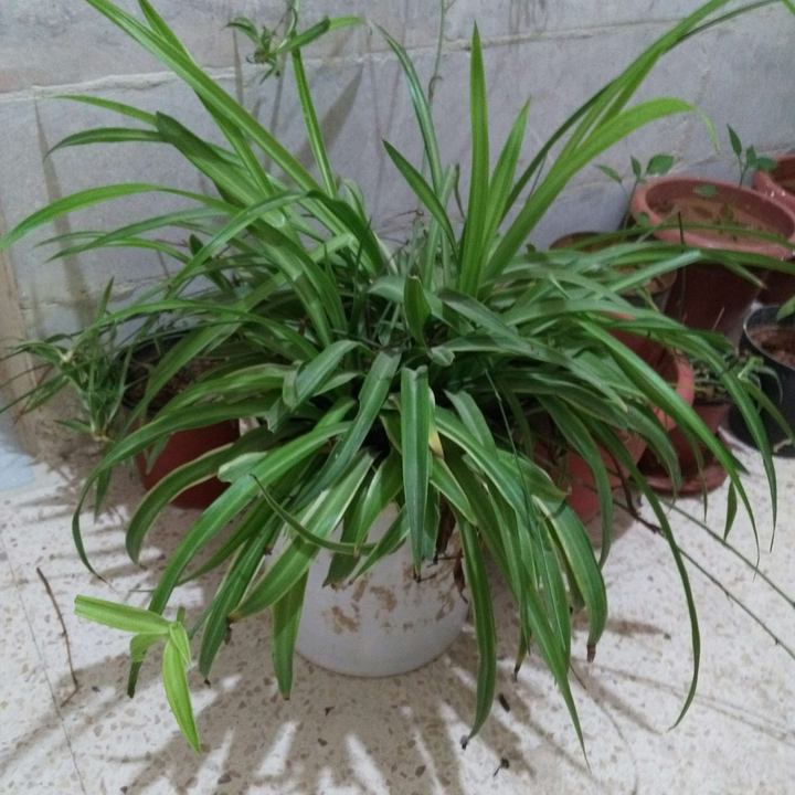 My Crowdsourcing Posts