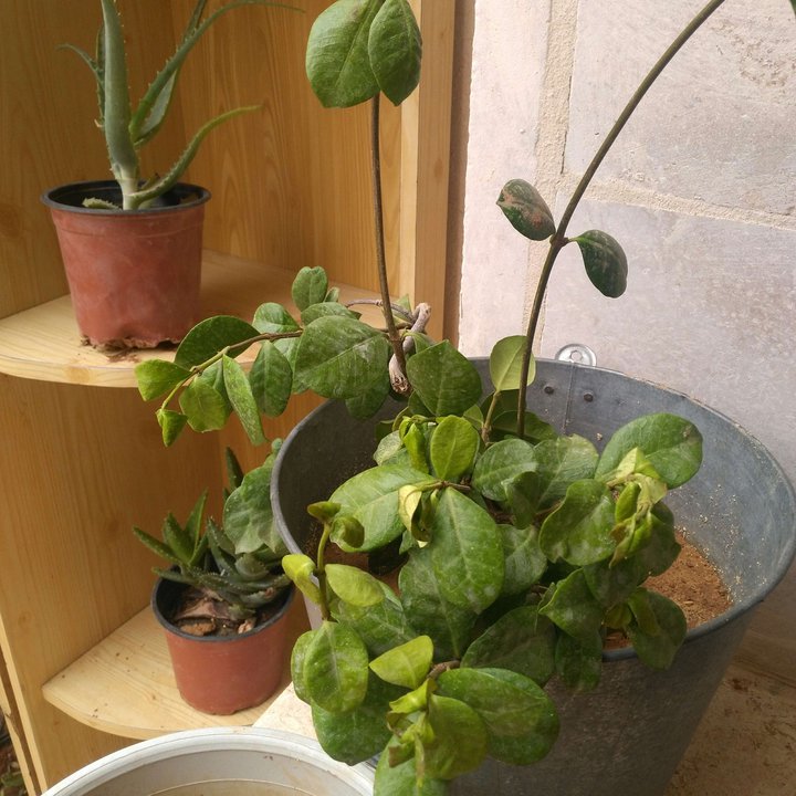 My Crowdsourcing Posts