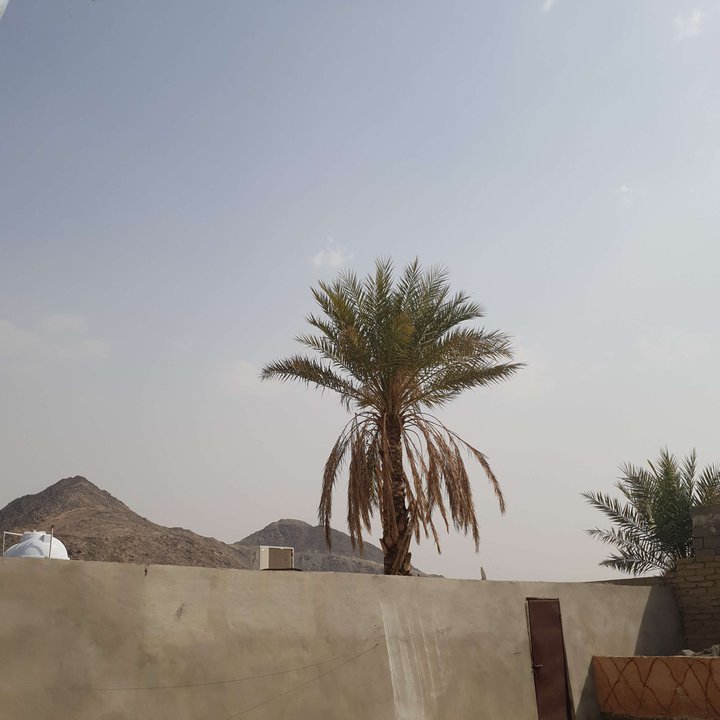 My Crowdsourcing Posts