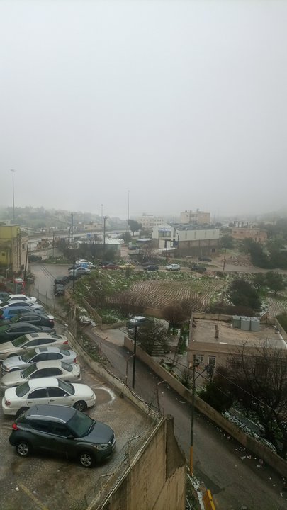 مشاركاتي في أنت الراصد