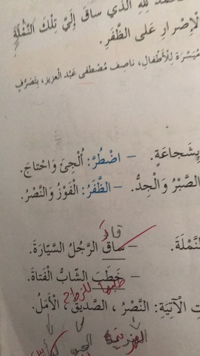 مشاركاتي في أنت الراصد