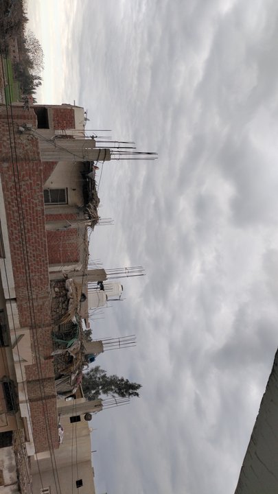 مشاركاتي في أنت الراصد