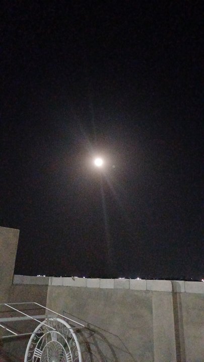 مشاركاتي في أنت الراصد