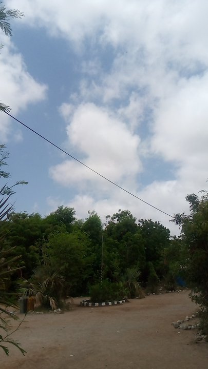 مشاركاتي في أنت الراصد