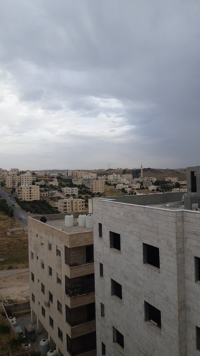 مشاركاتي في أنت الراصد