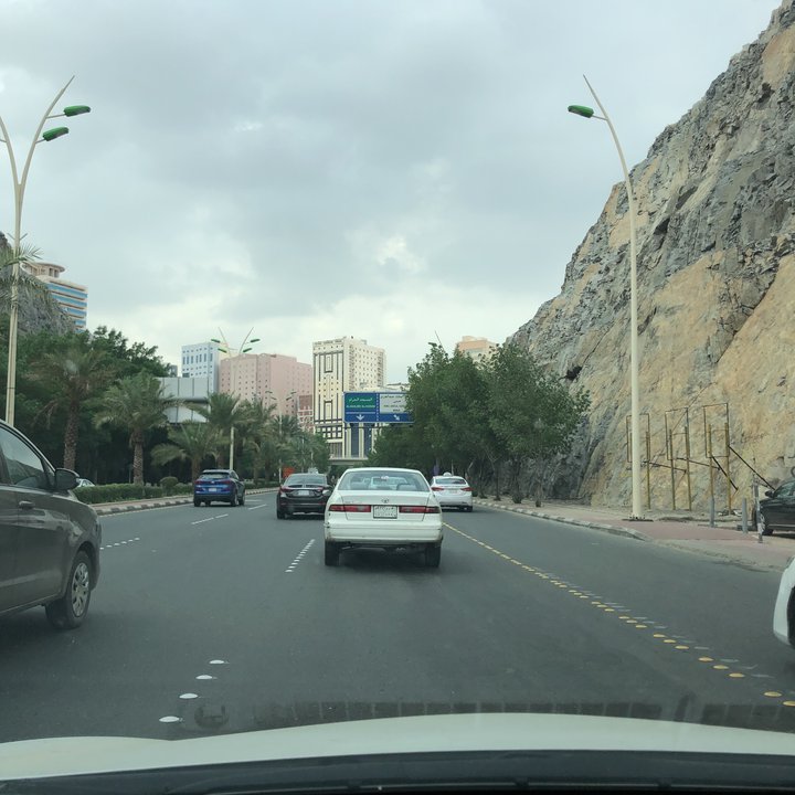 مشاركاتي في أنت الراصد