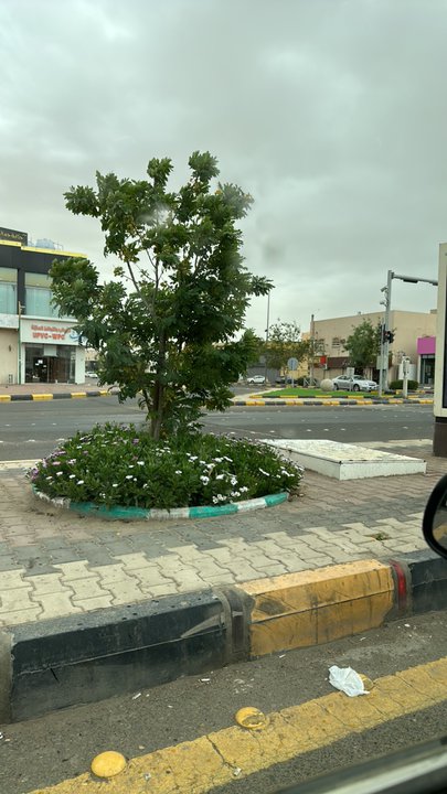 Mes publications Crowdsourcing