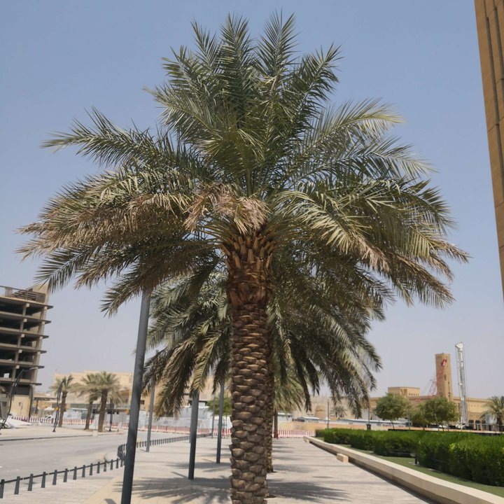 My Crowdsourcing Posts