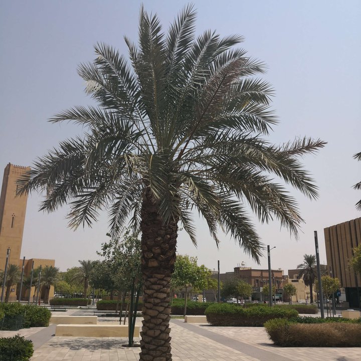 My Crowdsourcing Posts