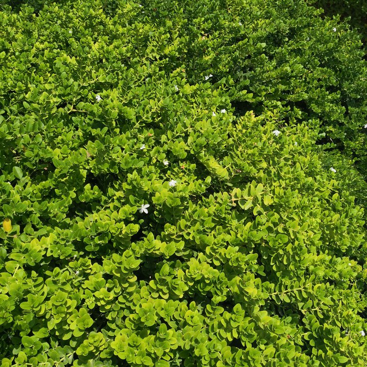 My Crowdsourcing Posts