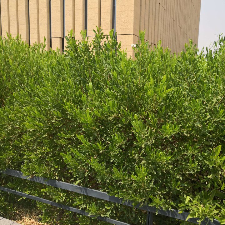 My Crowdsourcing Posts