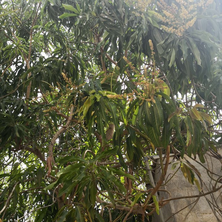 My Crowdsourcing Posts