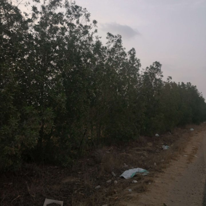 My Crowdsourcing Posts