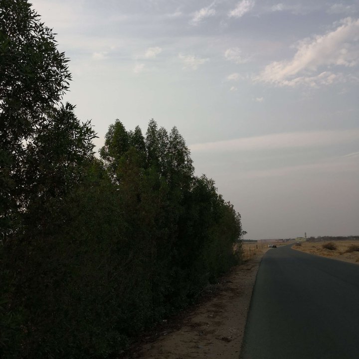 My Crowdsourcing Posts