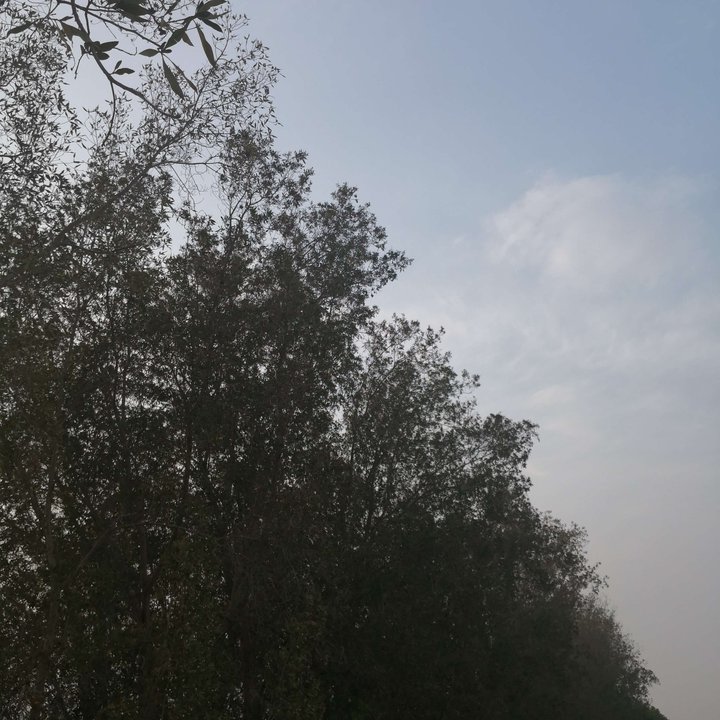 My Crowdsourcing Posts