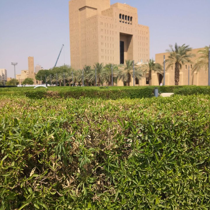 My Crowdsourcing Posts