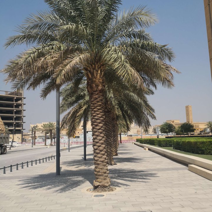 My Crowdsourcing Posts