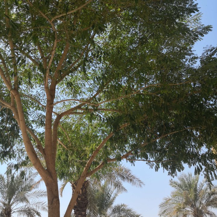 My Crowdsourcing Posts