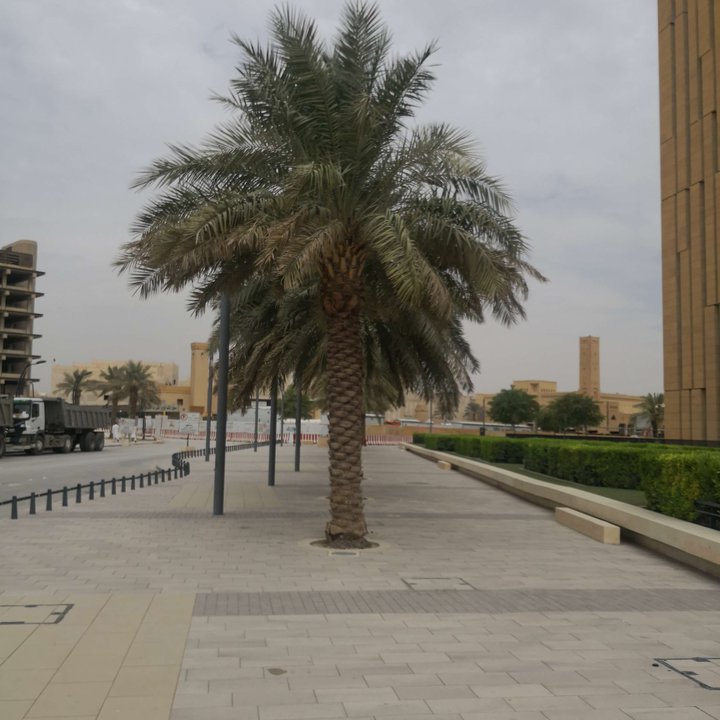 My Crowdsourcing Posts