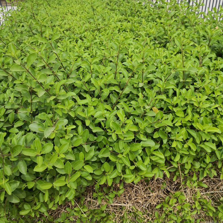 My Crowdsourcing Posts