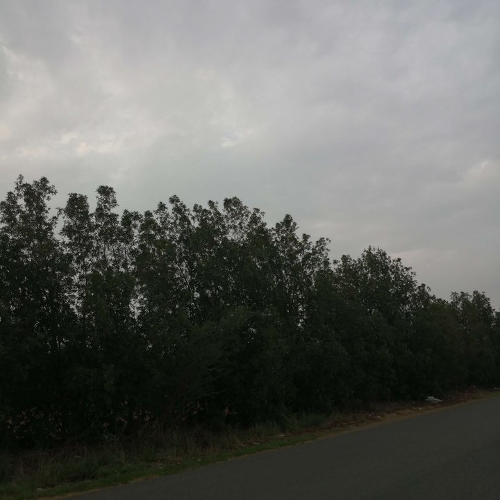 My Crowdsourcing Posts