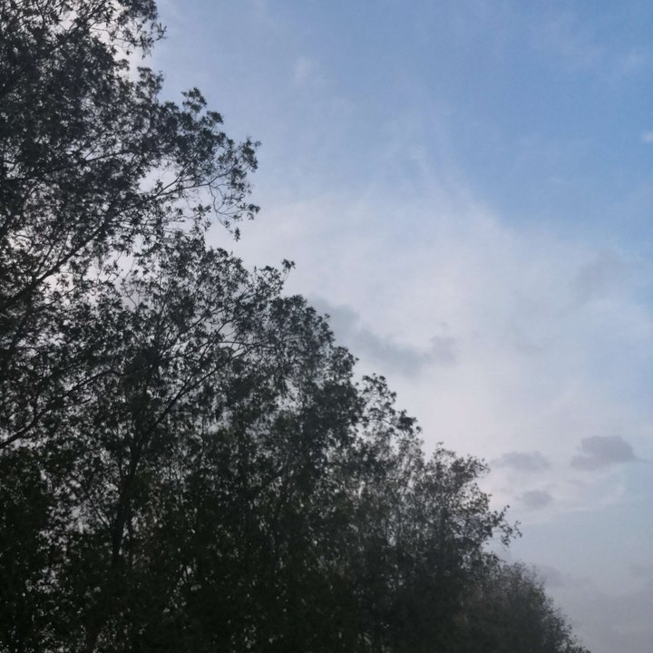 My Crowdsourcing Posts