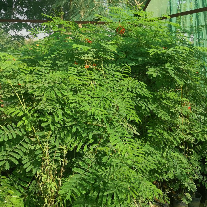 My Crowdsourcing Posts