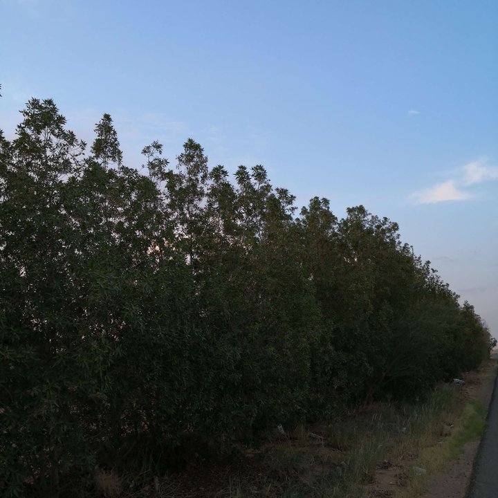 My Crowdsourcing Posts