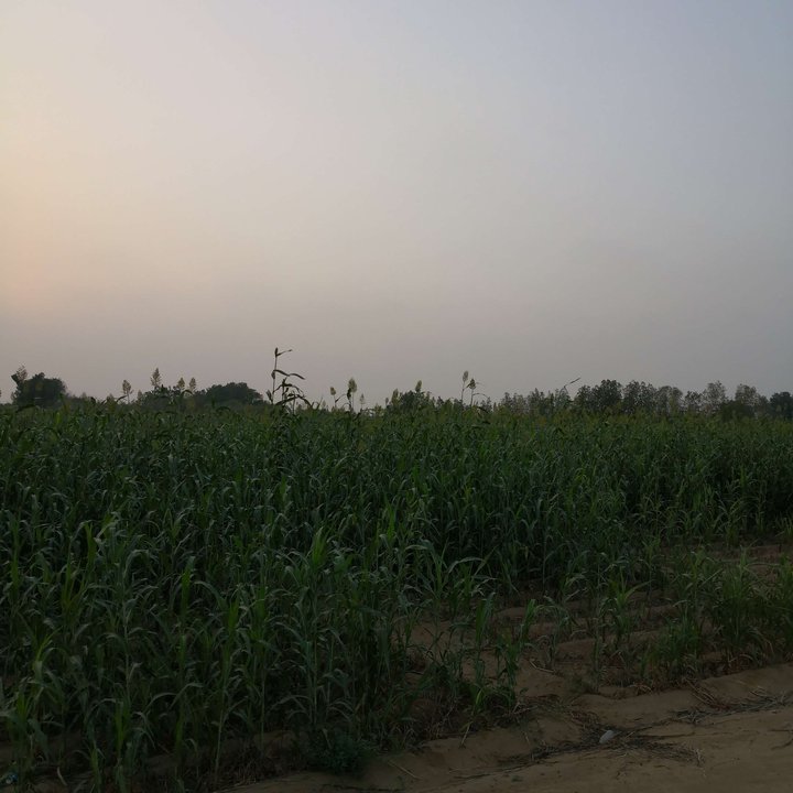 My Crowdsourcing Posts