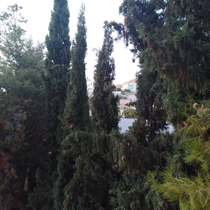 My Crowdsourcing Posts