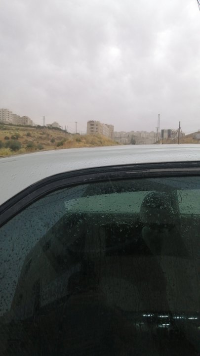 مشاركاتي في أنت الراصد