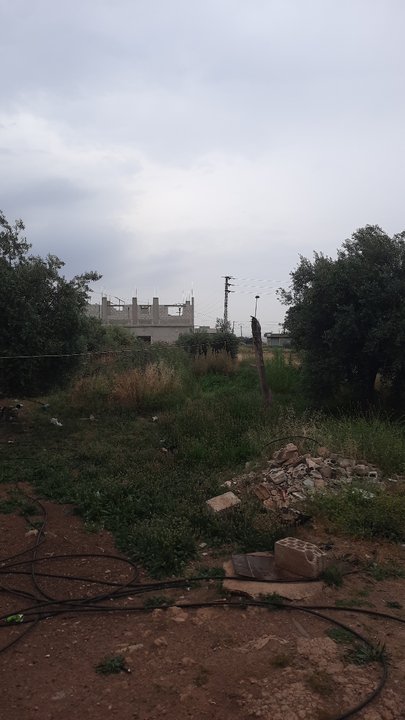 مشاركاتي في أنت الراصد