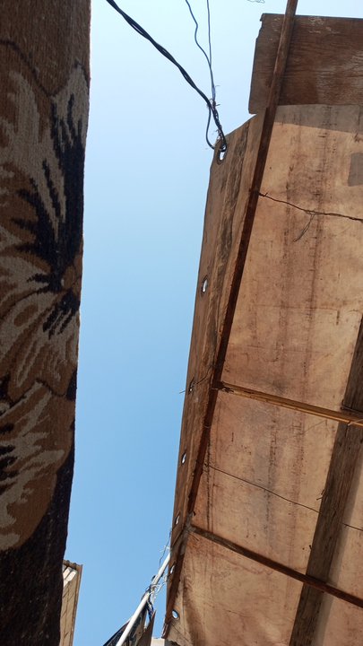 مشاركاتي في أنت الراصد