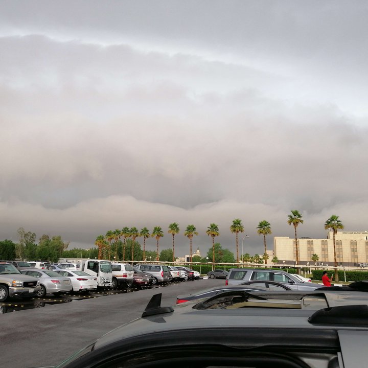 مشاركاتي في أنت الراصد